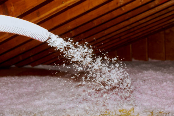Best Insulation Removal Services  in Cresson, PA